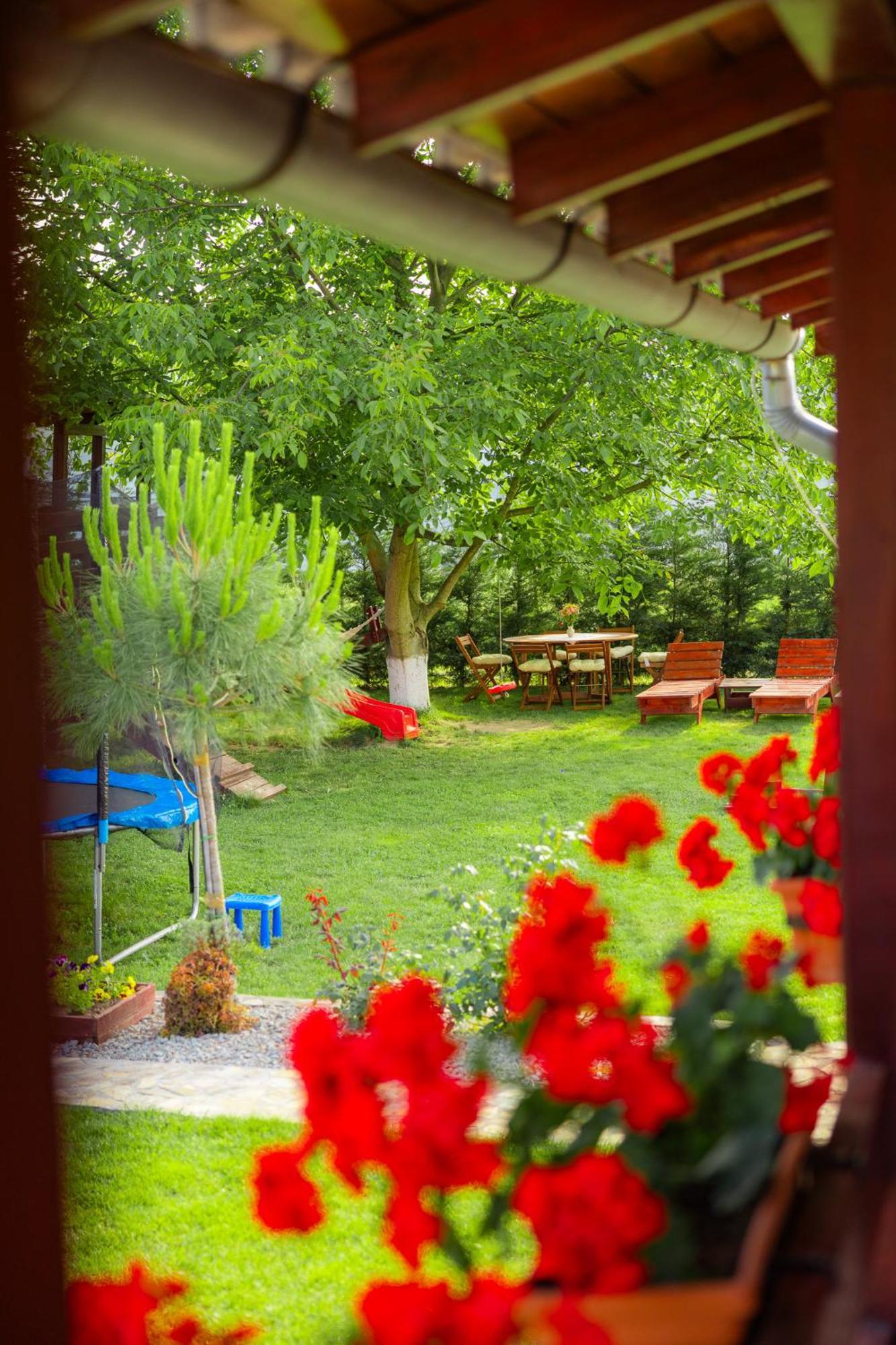 Pensiunea Regal Baile 1 Mai Dış mekan fotoğraf